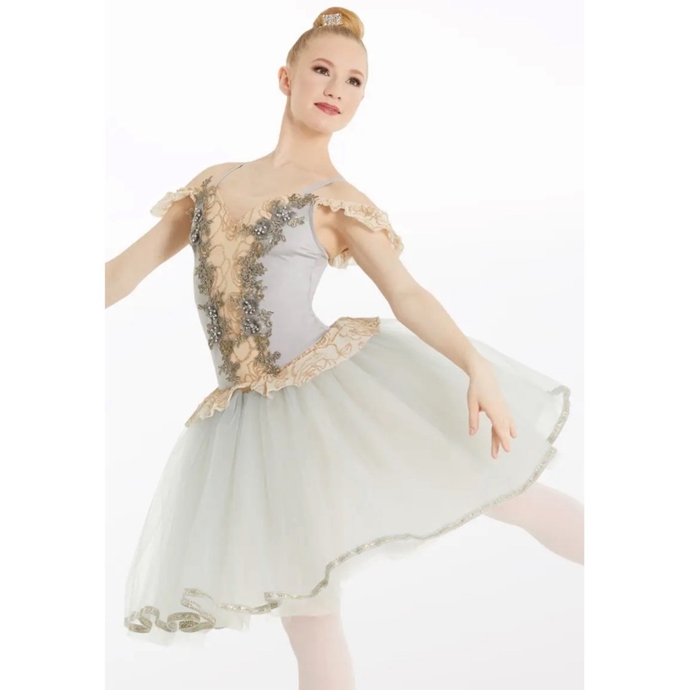 Weissman Showtime | Forgotten Dreams Elegant Ballet Tutu Dress Gray Gold, LC